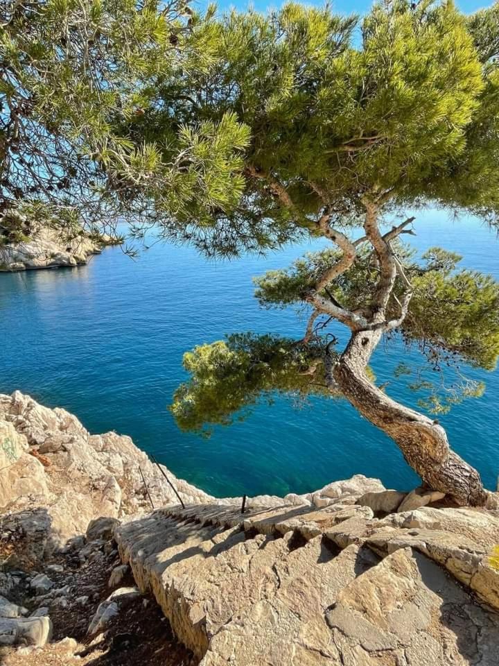 Villa Calanques إنسويس-لا-رودون الغرفة الصورة